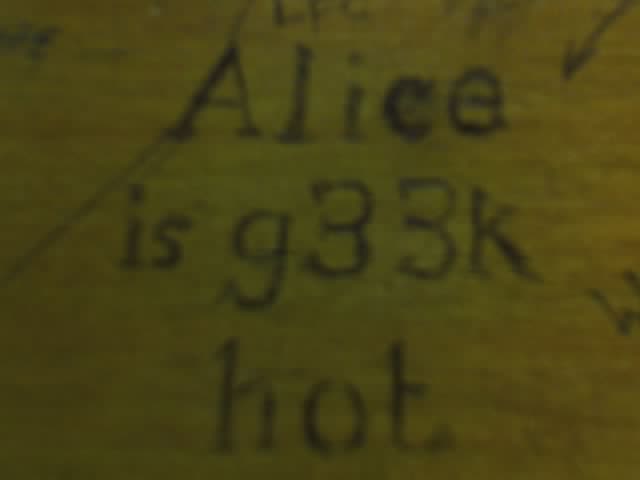 Alice is g33k hot