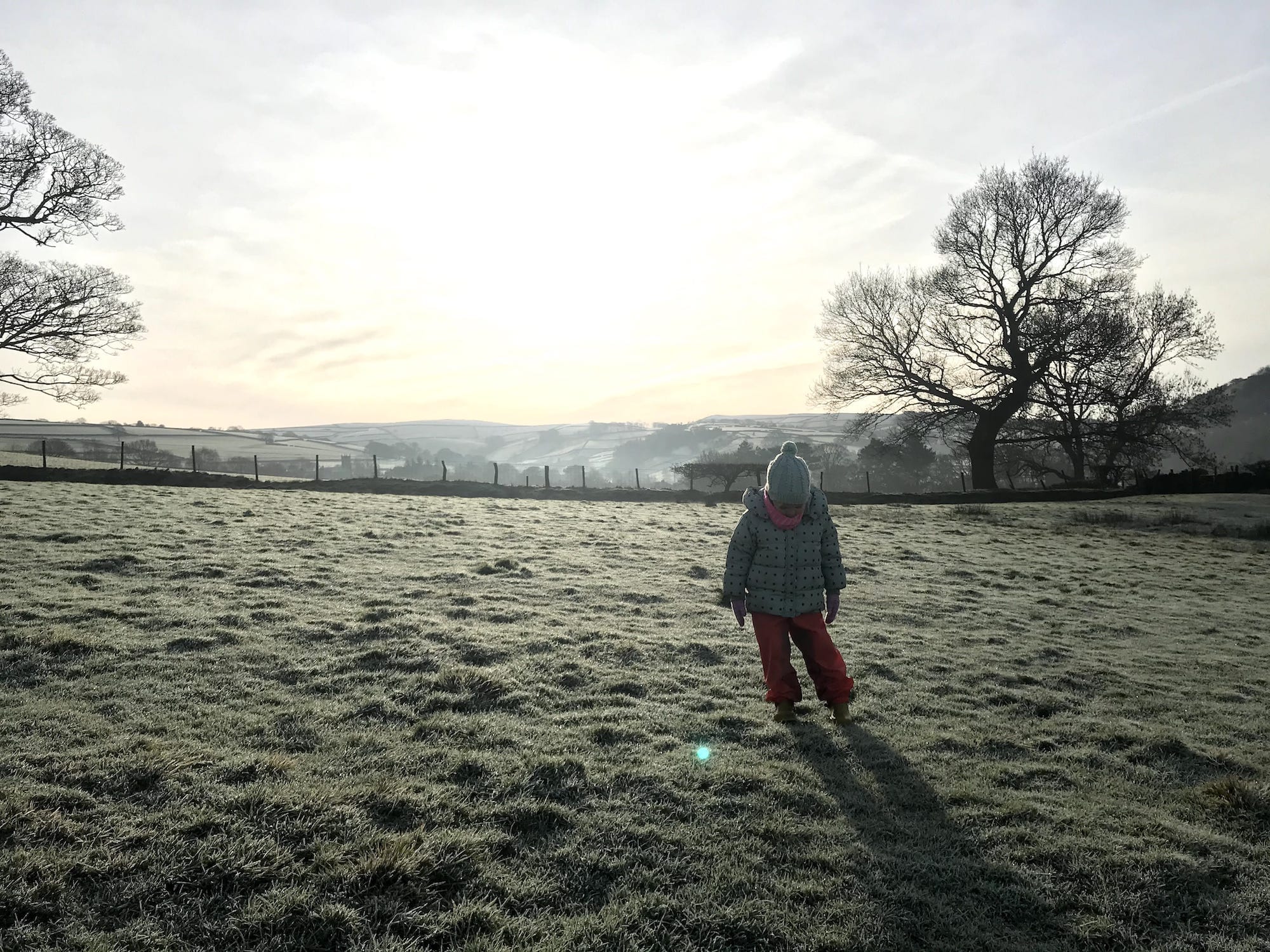 A toddler in a frosty field