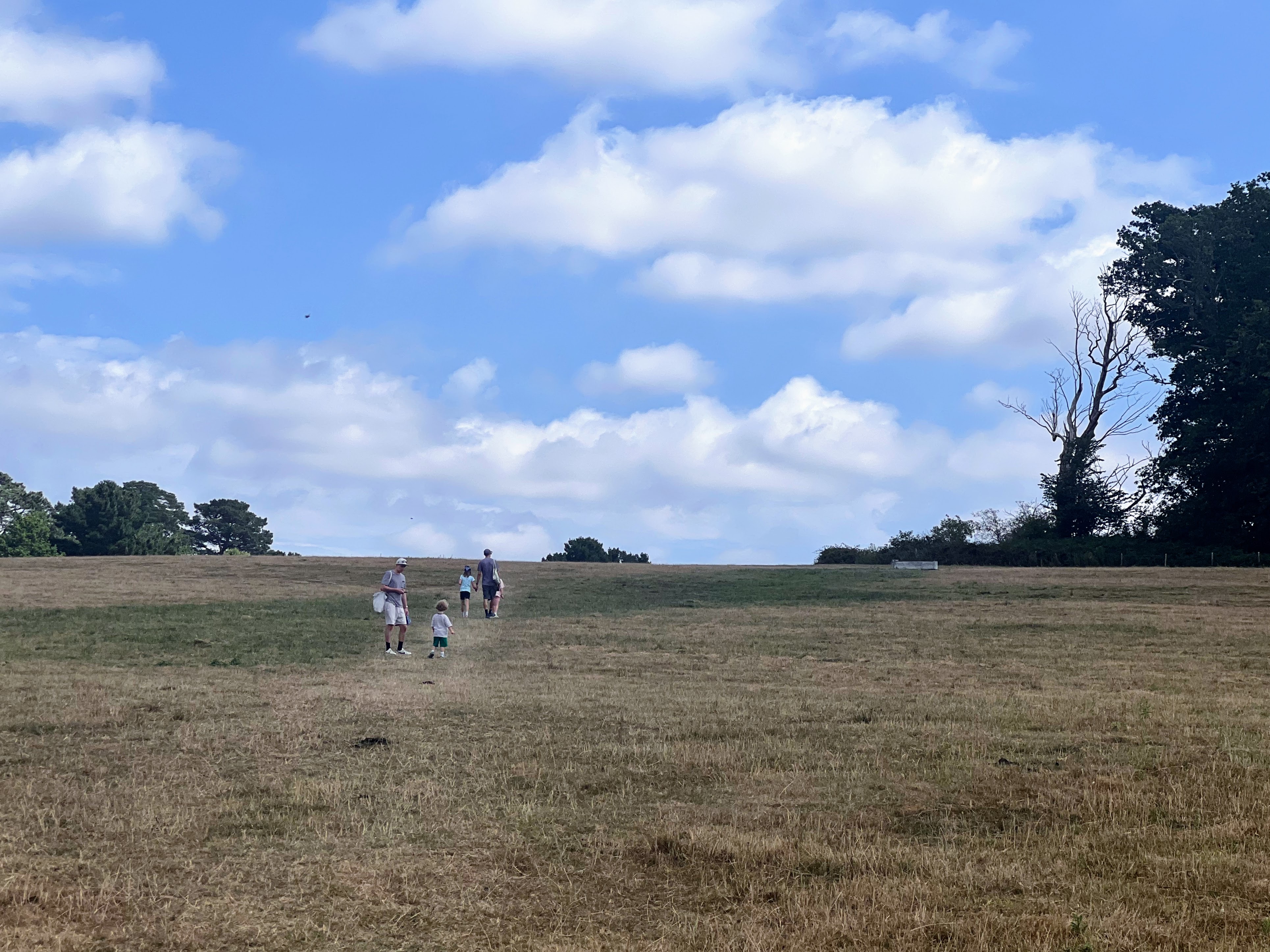 Kids walking across a field