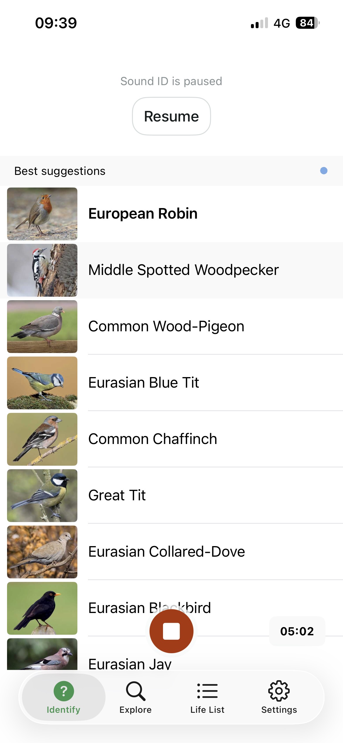 Bird App haul