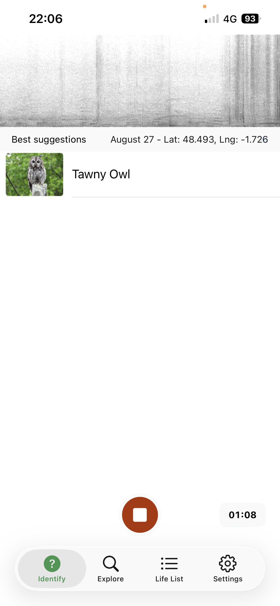 Tawny Owl!