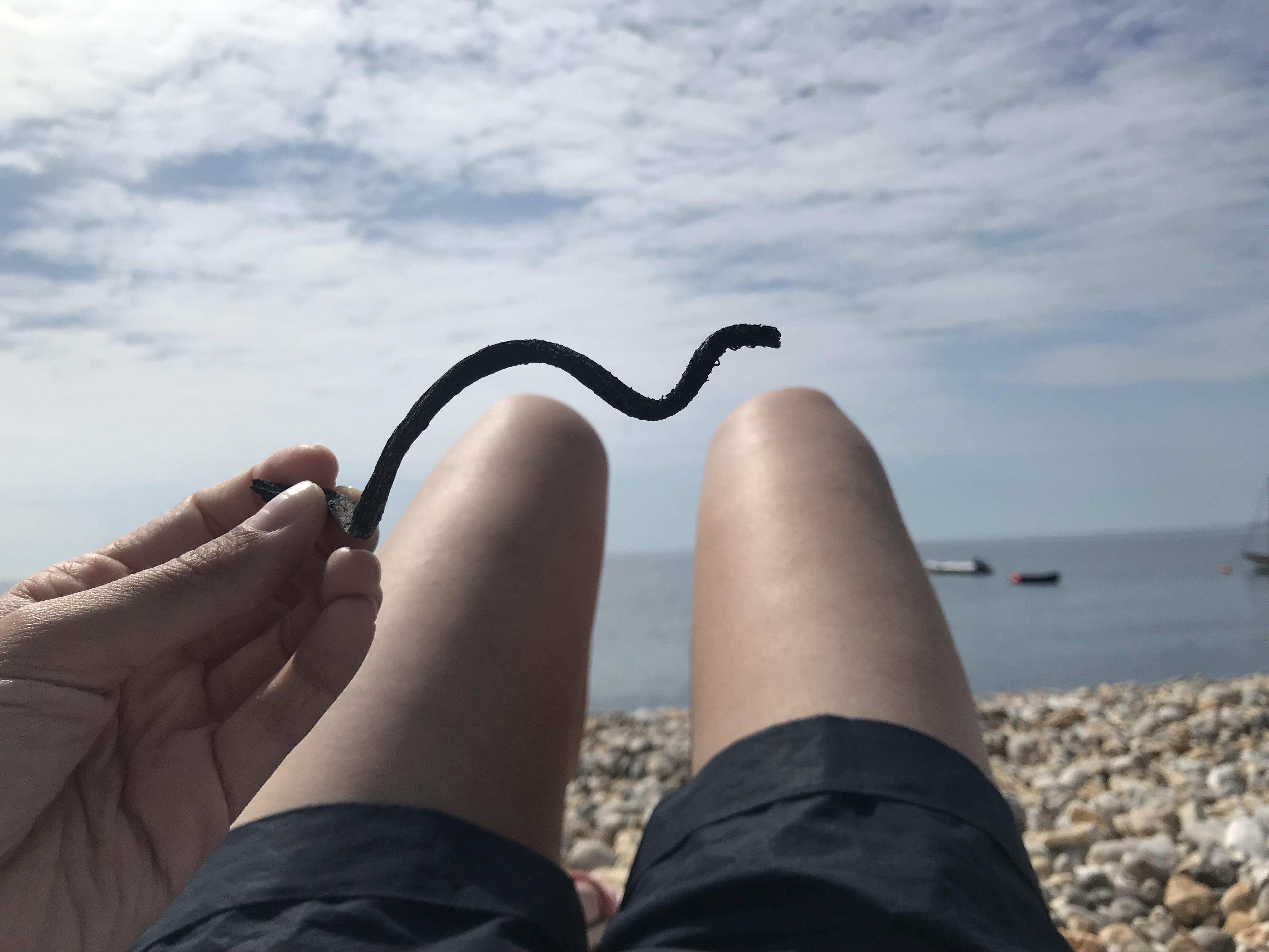 Beach in Sussex