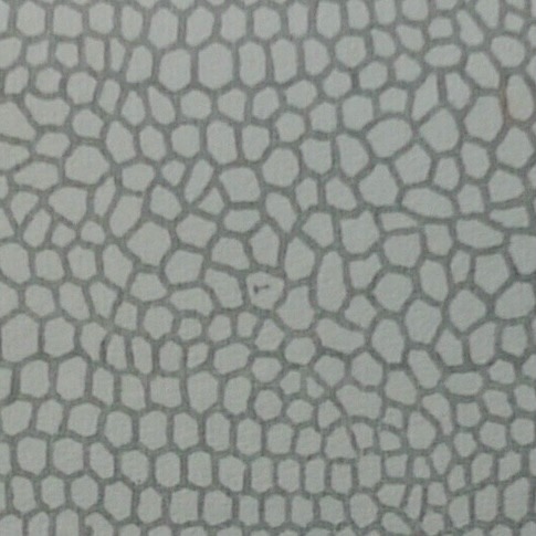 Envelope privacy pattern