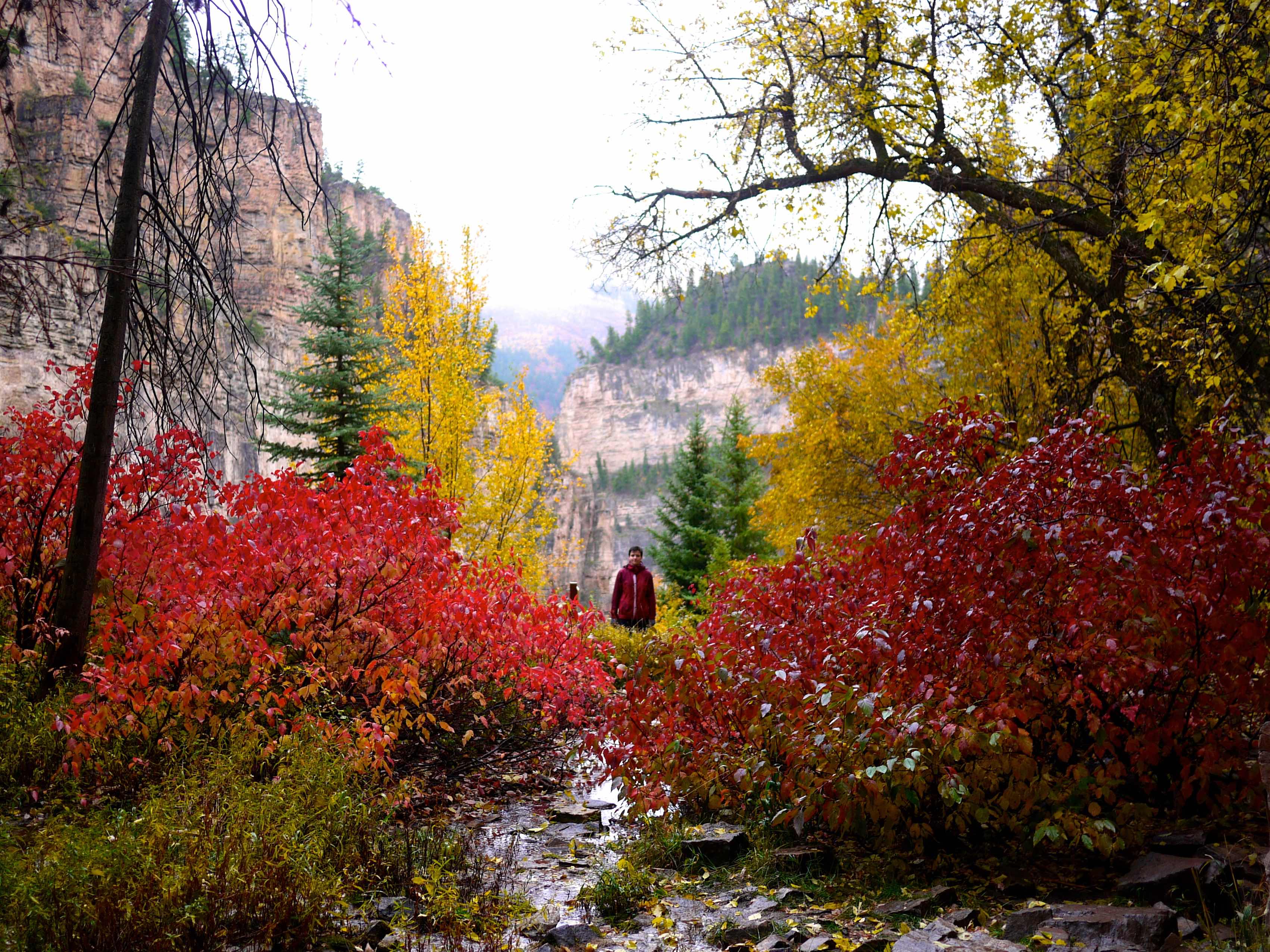 At hanging lake