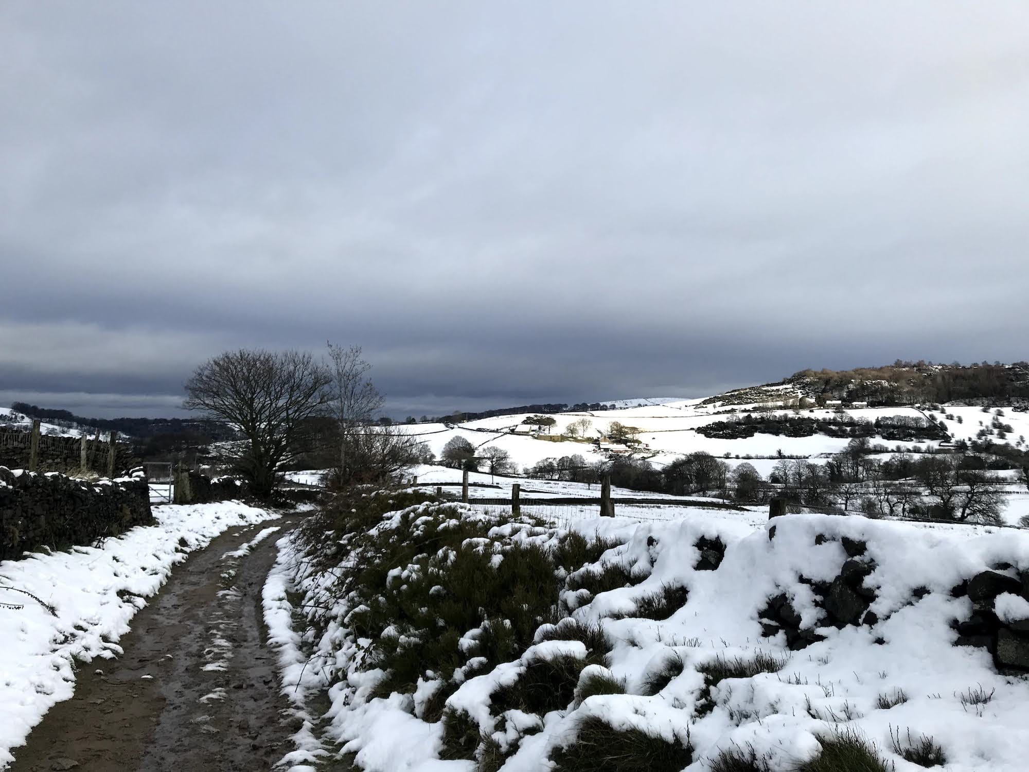 Snowwy fields