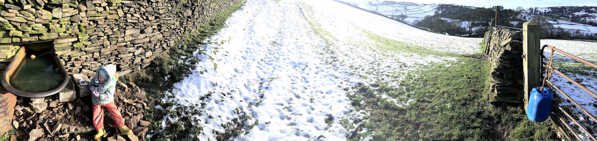 Panorama of snowy fields