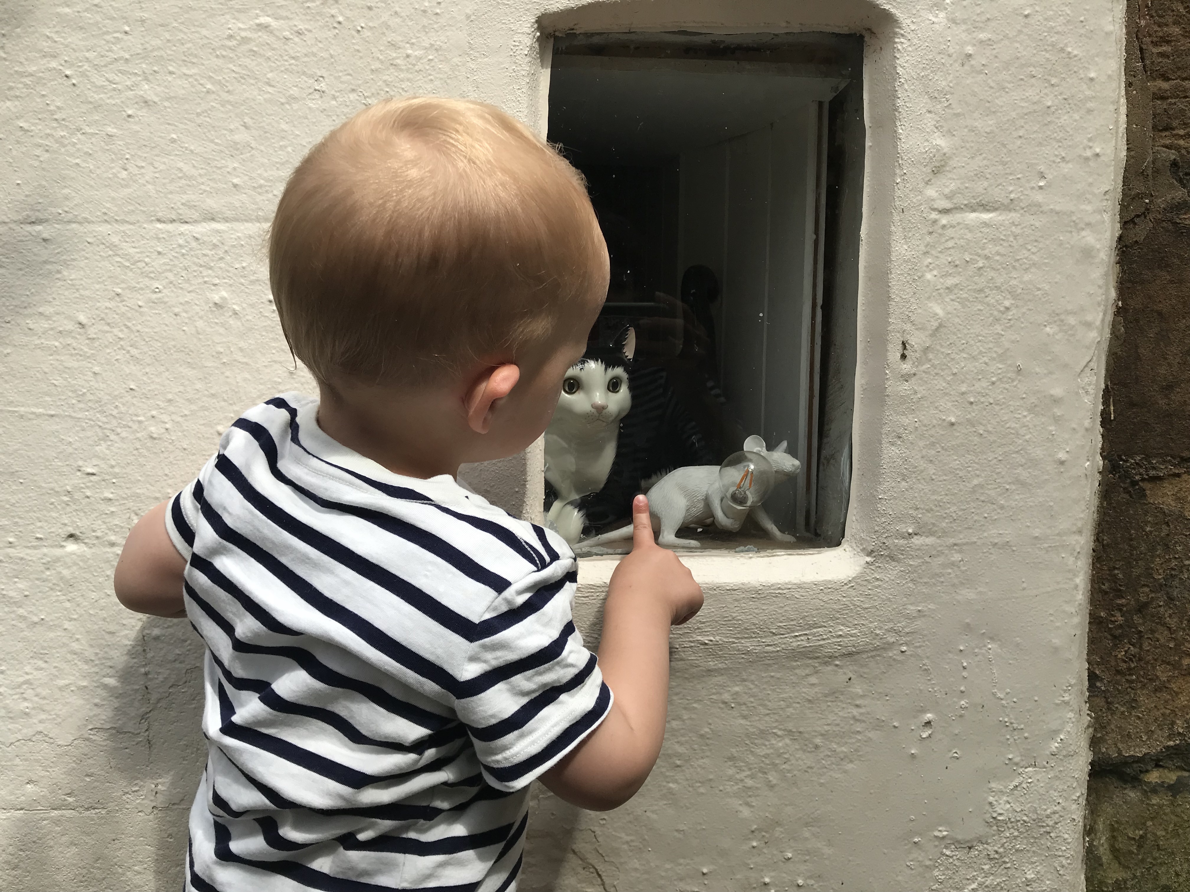 Cats in Robin Hoods Bay